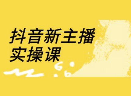 抖音新主播实操课，直播间流量运营线上实操课(18节)-蚂蚁汇资源分享项目网