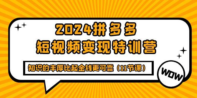 (9817期)2024拼多多短视频变现特训营，知识的丰厚比起金钱更可靠(11节课)-蚂蚁汇资源分享项目网