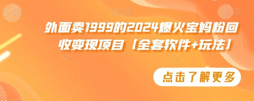 外面卖1999的2024爆火宝妈粉回收变现项目【全套软件+玩法】【揭秘】-蚂蚁汇资源分享项目网