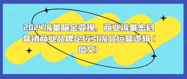 2024流量吸金变现，商业流量密码营销商业品牌定位引流品运营逻辑(图文)-蚂蚁汇资源分享项目网