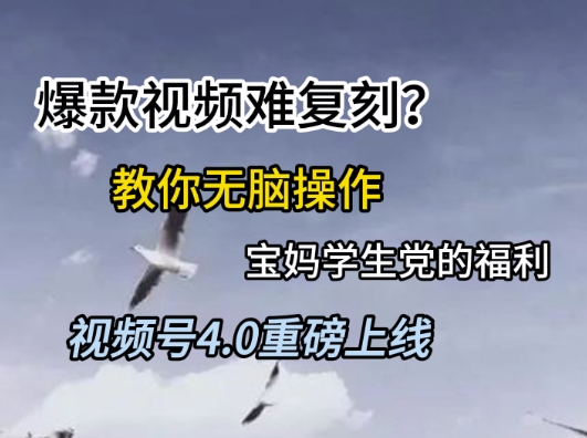 视频号4.0重磅上线，爆款视频难复刻？教你无脑操作宝妈学生党的福利【揭秘】-蚂蚁汇资源分享项目网