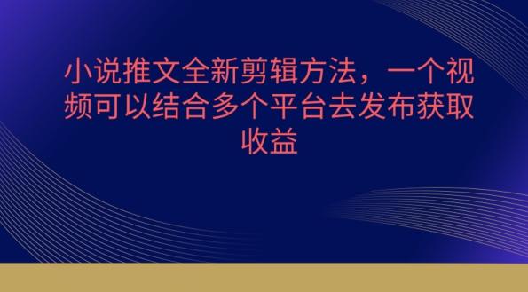 小说推文全新剪辑方法，一个视频可以结合多个平台去发布获取【揭秘】-蚂蚁汇资源分享项目网