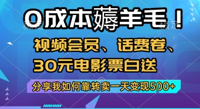 0成本薅羊毛!视频会员、话费卷、30元电影票白送，分享我如何靠转卖一天变现5张+【揭秘】-蚂蚁汇资源分享项目网