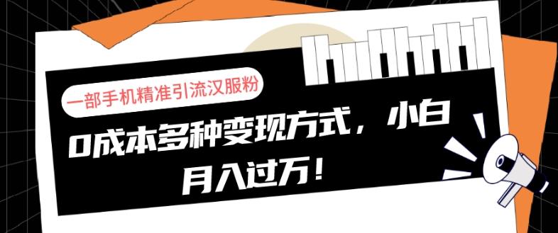 一部手机精准引流汉服粉，0成本多种变现方式，小白月入过万！-蚂蚁汇资源分享项目网