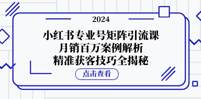 小红书专业号矩阵引流课，月销百万案例解析，精准获客技巧全揭秘-蚂蚁汇资源分享项目网
