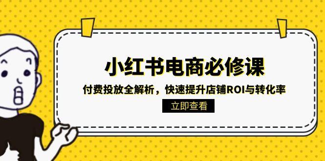 小红书电商必修课：付费投放全解析，快速提升店铺ROI与转化率-蚂蚁汇资源分享项目网