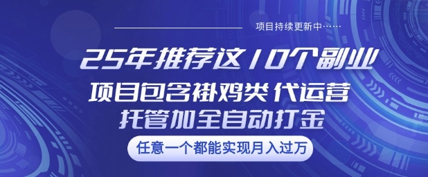 25年推荐这10个副业项目包含褂鸡类、代运营托管类、全自动打金类【揭秘】-蚂蚁汇资源分享项目网