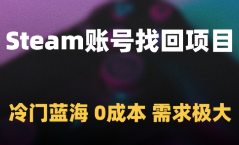 Steam账号找回项目，冷门蓝海，0成本，需求极大-蚂蚁汇资源分享项目网