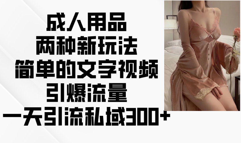 成人用品两种新玩法，简单的文字视频引爆流量，一天引流私域300+-蚂蚁汇资源分享项目网