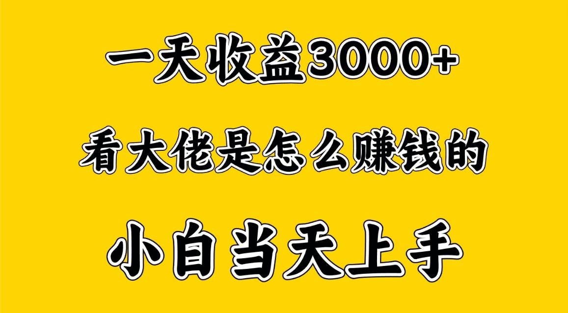 一天赚3000多，大佬是这样赚到钱的，小白当天上手，穷人翻身项目-蚂蚁汇资源分享项目网