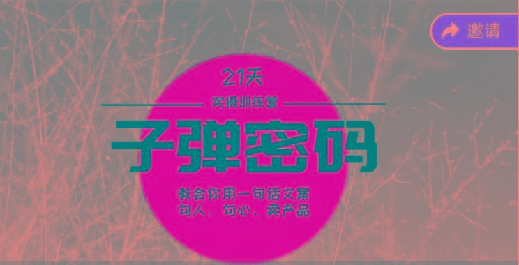 《子弹密码训练营》-用一句话文案勾人勾心卖产品，21天学到顶尖文案大师策略和技巧-蚂蚁汇资源分享项目网