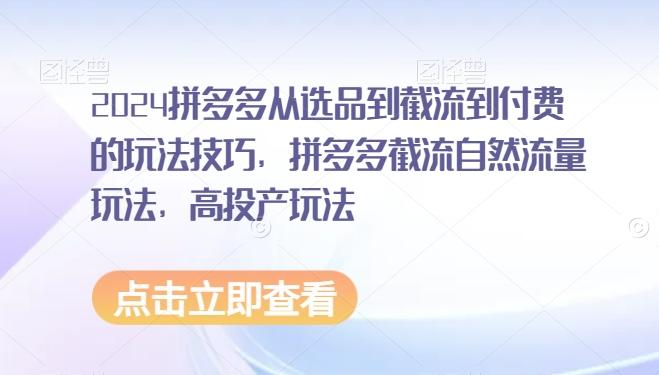 2024拼多多从选品到截流到付费的玩法技巧，拼多多截流自然流量玩法，高投产玩法-蚂蚁汇资源分享项目网
