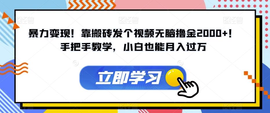暴力变现！靠搬砖发个视频无脑撸金2000+！手把手教学，小白也能月入过万【揭秘】-蚂蚁汇资源分享项目网