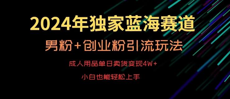 2024年独家蓝海赛道，成人用品单日卖货变现4W+，男粉+创业粉引流玩法，不愁搞不到流量【揭秘】-蚂蚁汇资源分享项目网