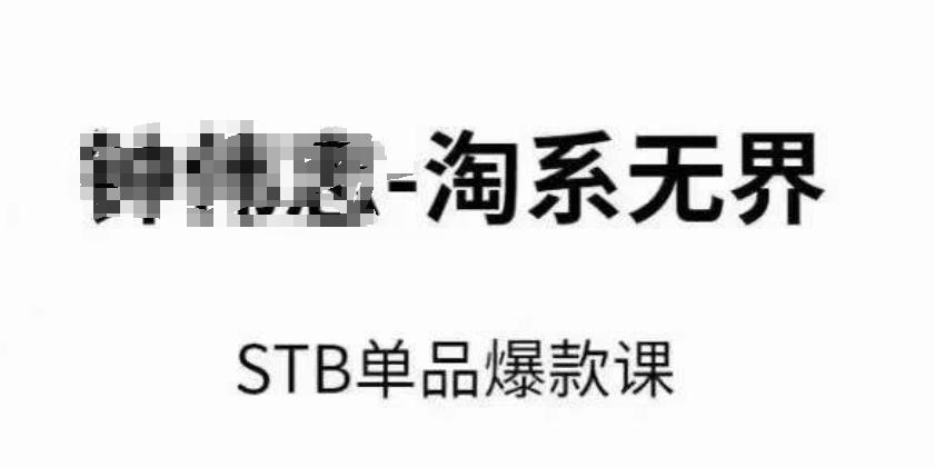 淘系无界STB单品爆款课(2024)，付费带动免费的核心逻辑，万相台无界关键词推广/精准人群的核心-蚂蚁汇资源分享项目网