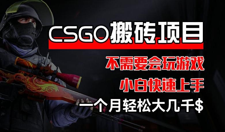 CSGO 装备搬砖项目，操作简单，不需要会玩游戏，小白也能快速上手，一个月轻松大几千【揭秘】-蚂蚁汇资源分享项目网