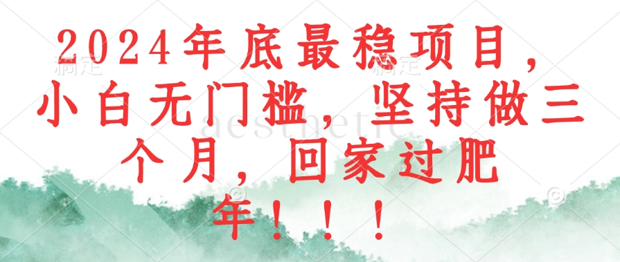 2024年底最稳项目，小白无门槛，坚持做三个月，回家过肥年！！！-蚂蚁汇资源分享项目网