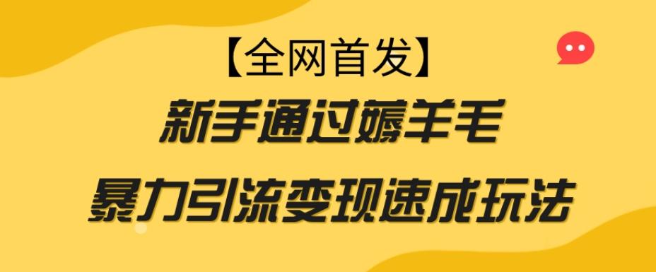 【全网首发】新手通过薅羊毛暴力引流变现速成玩法-蚂蚁汇资源分享项目网