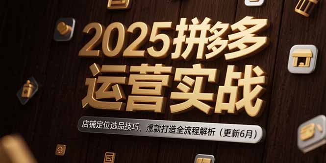 2025拼多多运营实战：店铺定位选品技巧，爆款打造全流程解析(更新6月-蚂蚁汇资源分享项目网