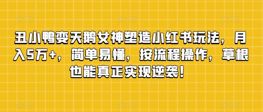 丑小鸭变天鹅女神塑造小红书玩法，月入5万+，简单易懂，按流程操作，草根也能真正实现逆袭！-蚂蚁汇资源分享项目网