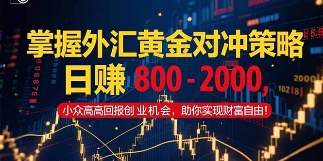 掌握外汇黄金对冲策略，日赚 800 – 2000，小众高回报创业机会，助你实…-蚂蚁汇资源分享项目网