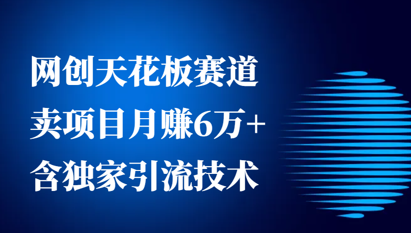 网创天花板赛道，卖项目月赚6万+，含独家引流技术(共26节课)-蚂蚁汇资源分享项目网