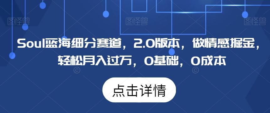 Soul蓝海细分赛道，2.0版本，做情感掘金，轻松月入过万，0基础，0成本-蚂蚁汇资源分享项目网