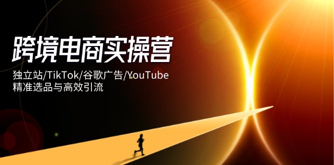 跨境电商实操营：独立站/TikTok/谷歌广告/YouTube，精准选品与高效引流-蚂蚁汇资源分享项目网