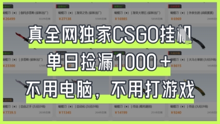 真全网独家CSGO挂G，单日捡漏1k+【揭秘】-蚂蚁汇资源分享项目网
