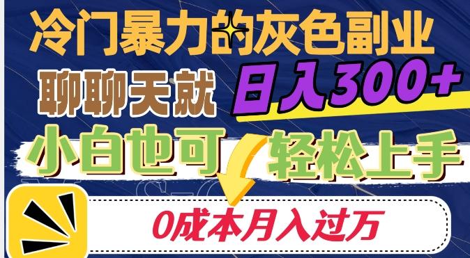 冷门暴利的副业项目，聊聊天就能日入300+，0成本月入过万【揭秘】-蚂蚁汇资源分享项目网