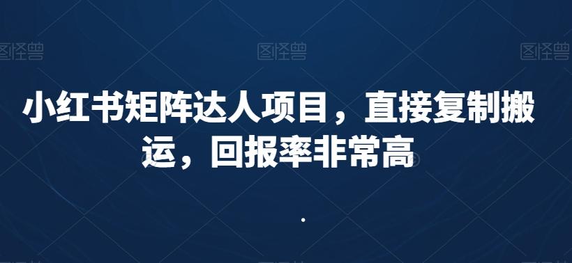 小红书矩阵达人项目，直接复制搬运，回报率非常高-蚂蚁汇资源分享项目网