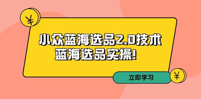 拼多多培训第33期：小众蓝海选品2.0技术-蓝海选品实操！-蚂蚁汇资源分享项目网
