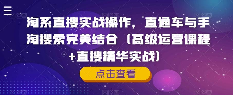淘系直搜实战操作，直通车与手淘搜索完美结合（高级运营课程+直搜精华实战）-蚂蚁汇资源分享项目网