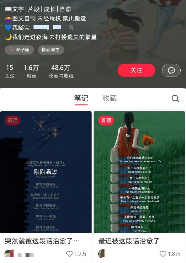 小红书治愈文案图文笔记,零门槛,一分钟制作轻松制作爆款作品月入万元-蚂蚁汇资源分享项目网