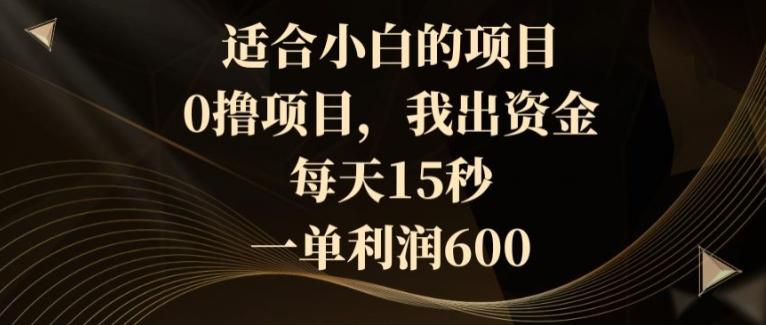 适合小白的项目,0撸项目,我出资金,每天15秒,一单利润600