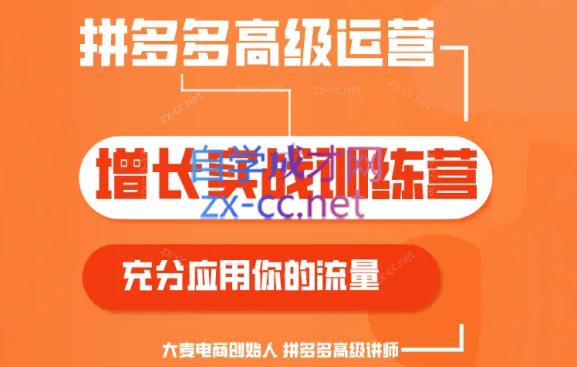 大麦老师·拼多多单品爆款打造课程(更新6月)-蚂蚁汇资源分享项目网