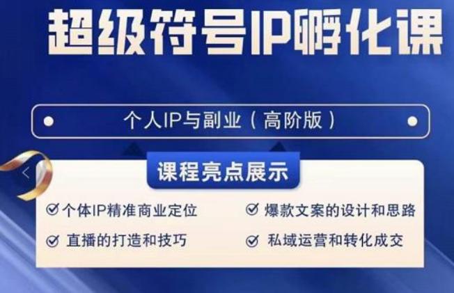 超级符号IP孵化高阶课，建立流量思维底层逻辑，打造属于自己IP（51节课）-蚂蚁汇资源分享项目网