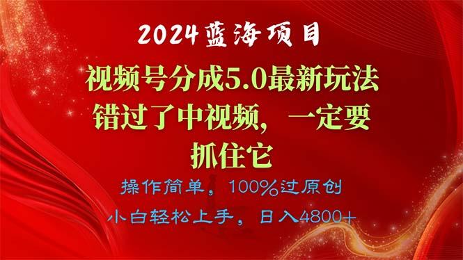 2024蓝海项目，视频号分成计划5.0最新玩法，错过了中视频，一定要抓住…-蚂蚁汇资源分享项目网