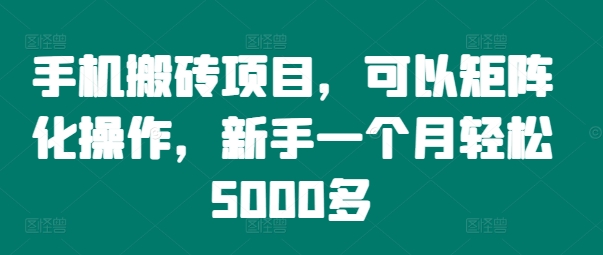 手机搬砖项目，可以矩阵化操作，新手一个月轻松5000多-蚂蚁汇资源分享项目网