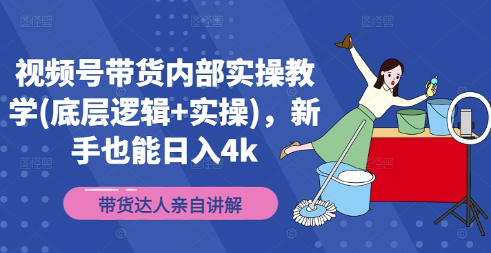 视频号带货内部实操教学(底层逻辑+实操)，新手也能日入4k-蚂蚁汇资源分享项目网
