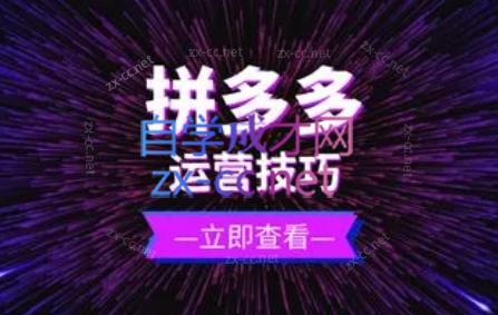 力辛电商·拼多多强付费店群玩法-蚂蚁汇资源分享项目网