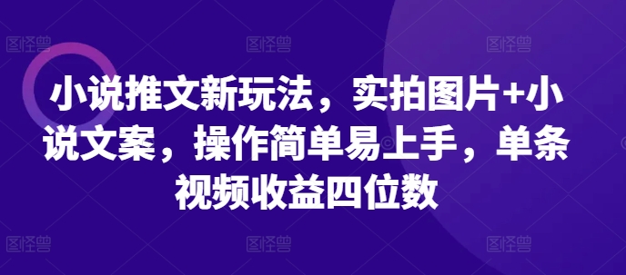 小说推文新玩法，实拍图片+小说文案，操作简单易上手，单条视频收益四位数-蚂蚁汇资源分享项目网
