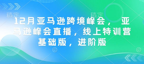12月亚马逊跨境峰会， 亚马逊峰会直播，线上特训营基础版，进阶版-蚂蚁汇资源分享项目网