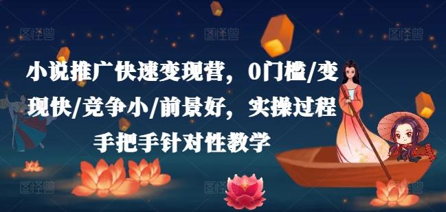 小说推广快速变现营，0门槛/变现快/竞争小/前景好，实操过程手把手针对性教学-蚂蚁汇资源分享项目网