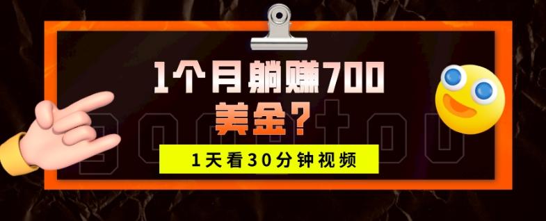 1天看30分钟视频，1个月躺赚700美金？-蚂蚁汇资源分享项目网