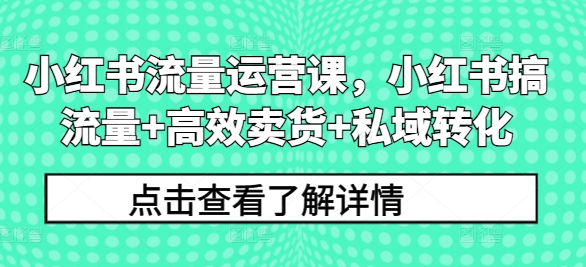 小红书流量运营课，小红书搞流量+高效卖货+私域转化-蚂蚁汇资源分享项目网