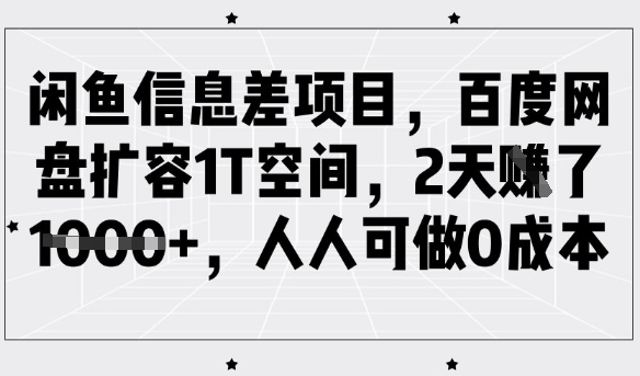 闲鱼信息差项目，百度网盘扩容1T空间，2天收益1k+，人人可做0成本-蚂蚁汇资源分享项目网