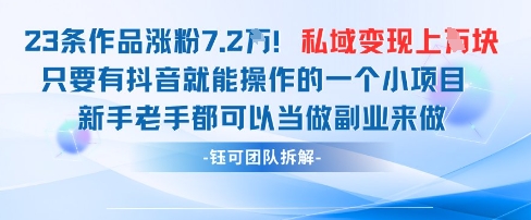 抖音私域项目23条作品涨粉7.2W，私域变现1W-蚂蚁汇资源分享项目网