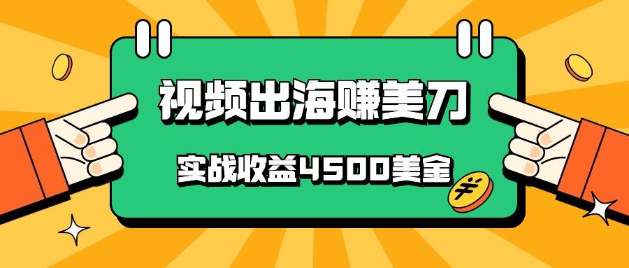 国内爆款视频出海赚美刀,实战收益4500美金,批量无脑搬运,无需经验直接上手-蚂蚁汇资源分享项目网