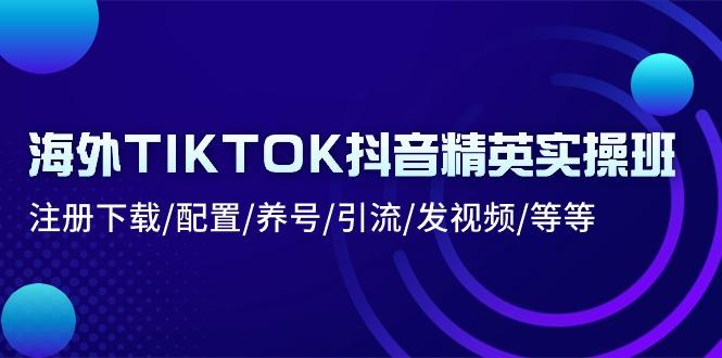 海外TIKTOK抖音精英实操班：注册下载/配置/养号/引流/发视频/等等-蚂蚁汇资源分享项目网
